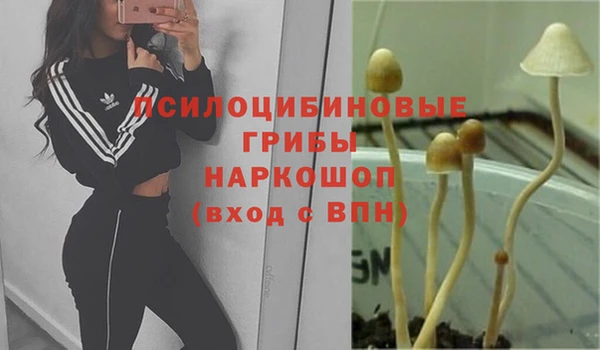 apvp Куйбышев