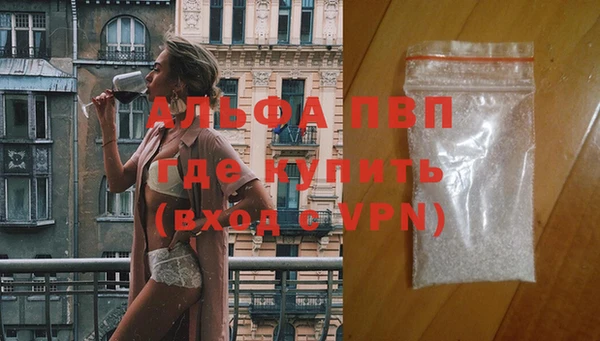 тгк Касимов