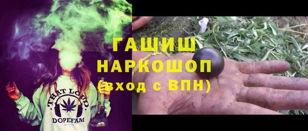 спиды Каменногорск