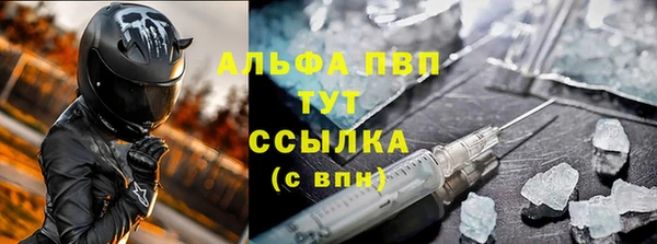 спиды Каменногорск
