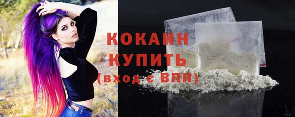 тгк Касимов