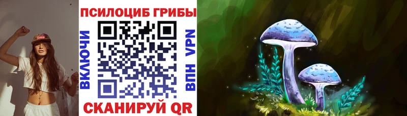 Псилоцибиновые грибы Cubensis  Котовск 