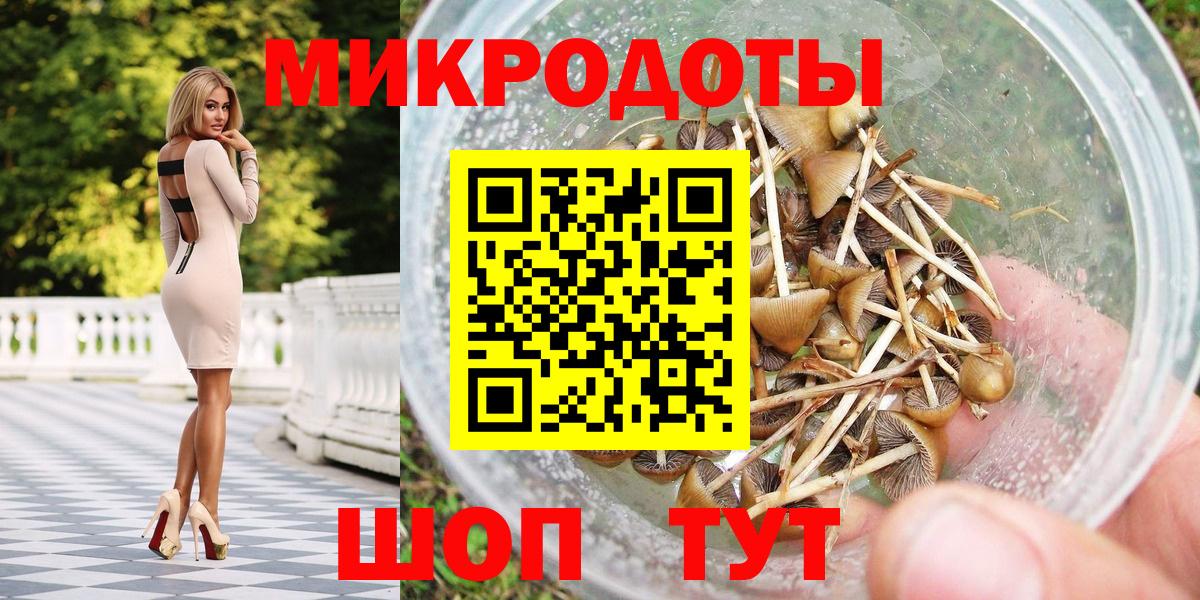 Галлюциногенные грибы мухоморы  Вход с VPN  Котовск 