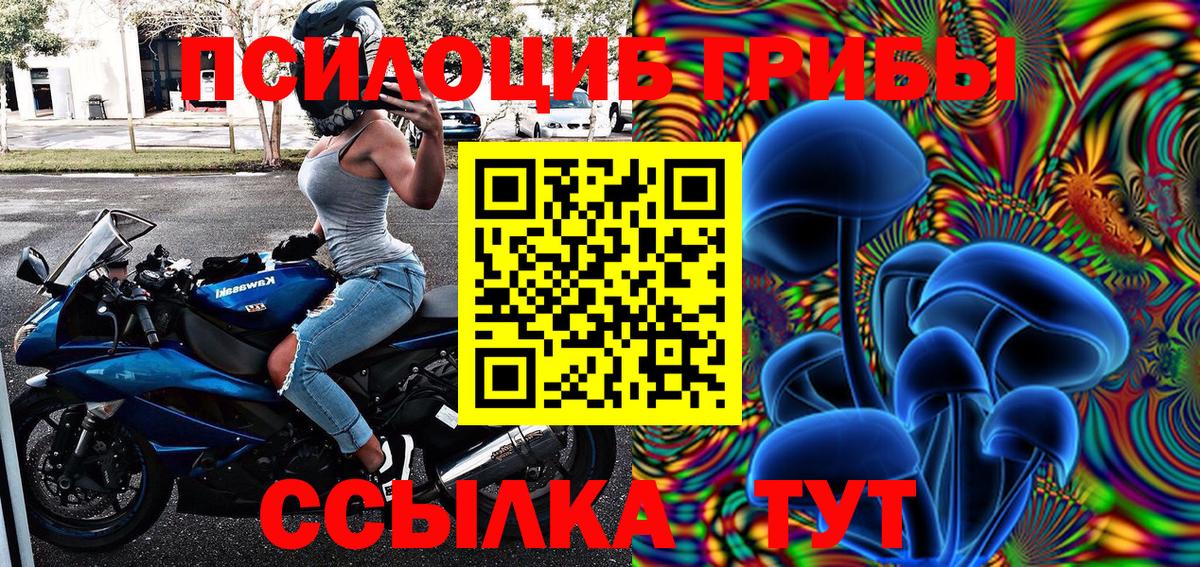 Галлюциногенные грибы Magic Shrooms Котовск